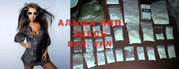 хмурый Арсеньев
