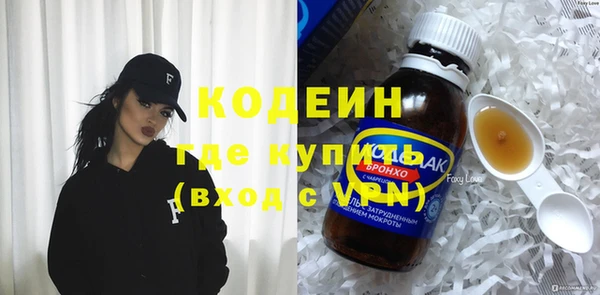 хмурый Арсеньев