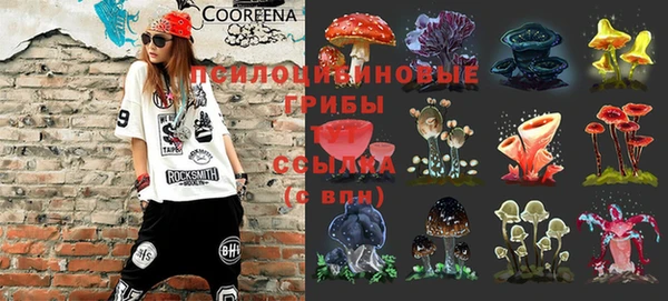 дмт Армянск
