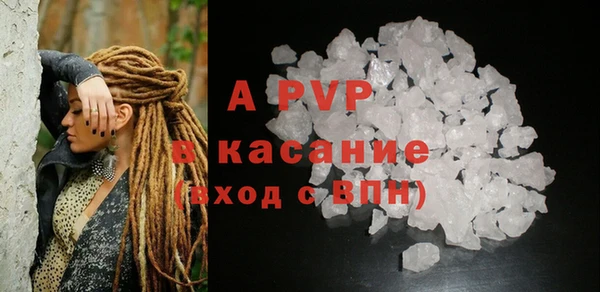 хмурый Арсеньев