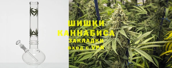 хмурый Арсеньев