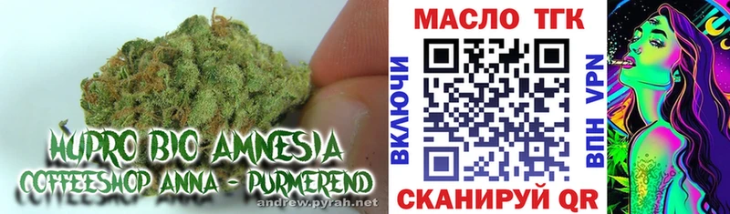 Дистиллят ТГК вейп с тгк  mega маркетплейс  Новая Ладога  цены наркотик 