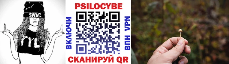 дарнет шоп  Новая Ладога  Псилоцибиновые грибы мицелий 